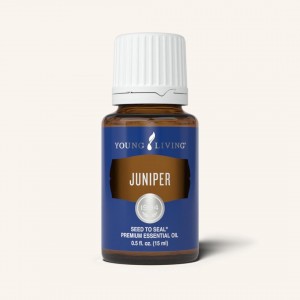 Juniper 杜松